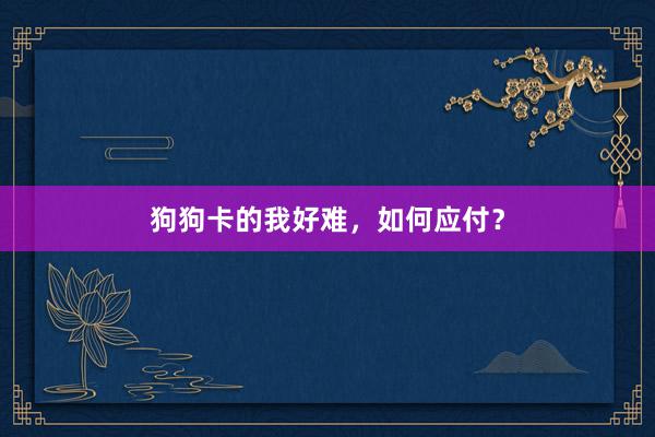 狗狗卡的我好难，如何应付？
