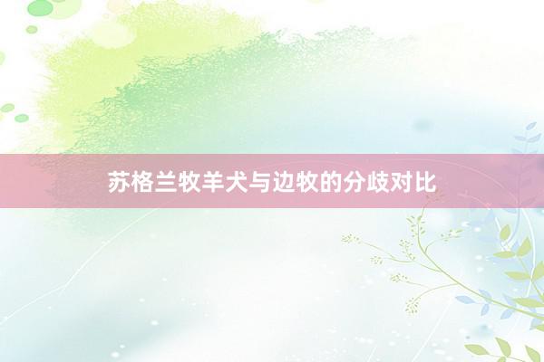 苏格兰牧羊犬与边牧的分歧对比